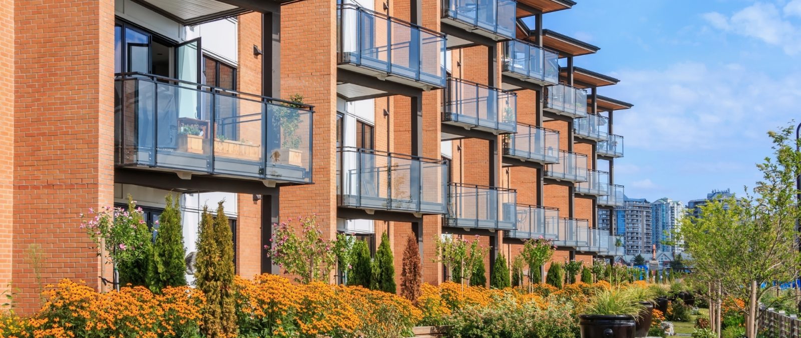 أراضي تجارية للبيع في الأحساء