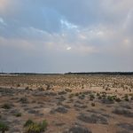 مزرعة للبيع في الاحساء المبرز