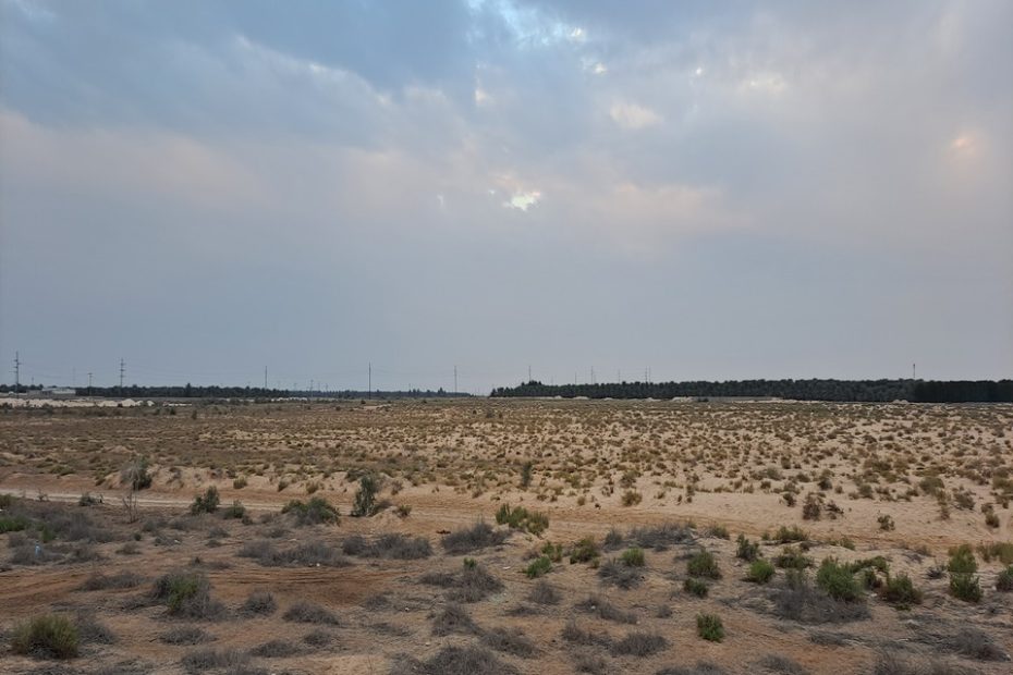 مزرعة للبيع في الاحساء المبرز